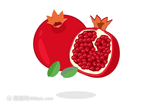 科技創(chuàng)新與簡約美學(xué) 石榴元素在軟件開發(fā)中的應(yīng)用